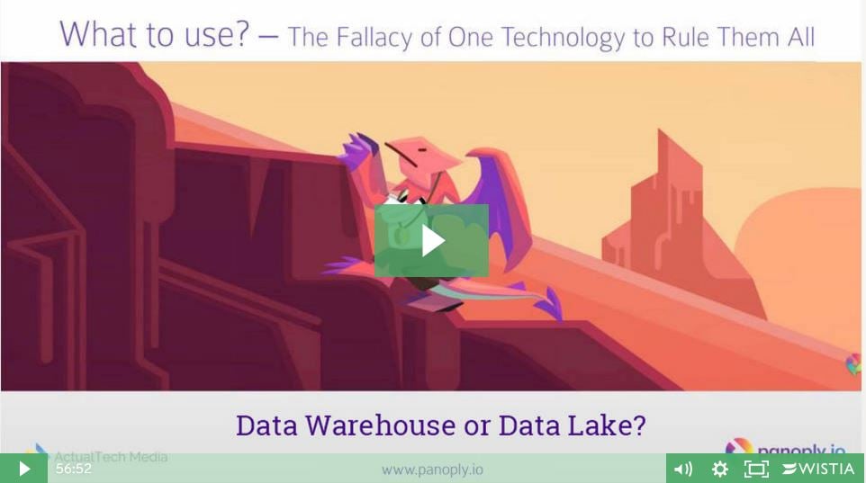 Data warehouse or data lake webinar Panoply.jpg